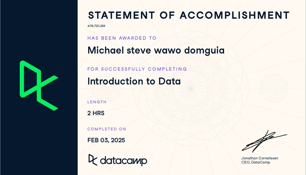 Certification en Présentation des données obtenue par Wawo Domguia Michael Steve